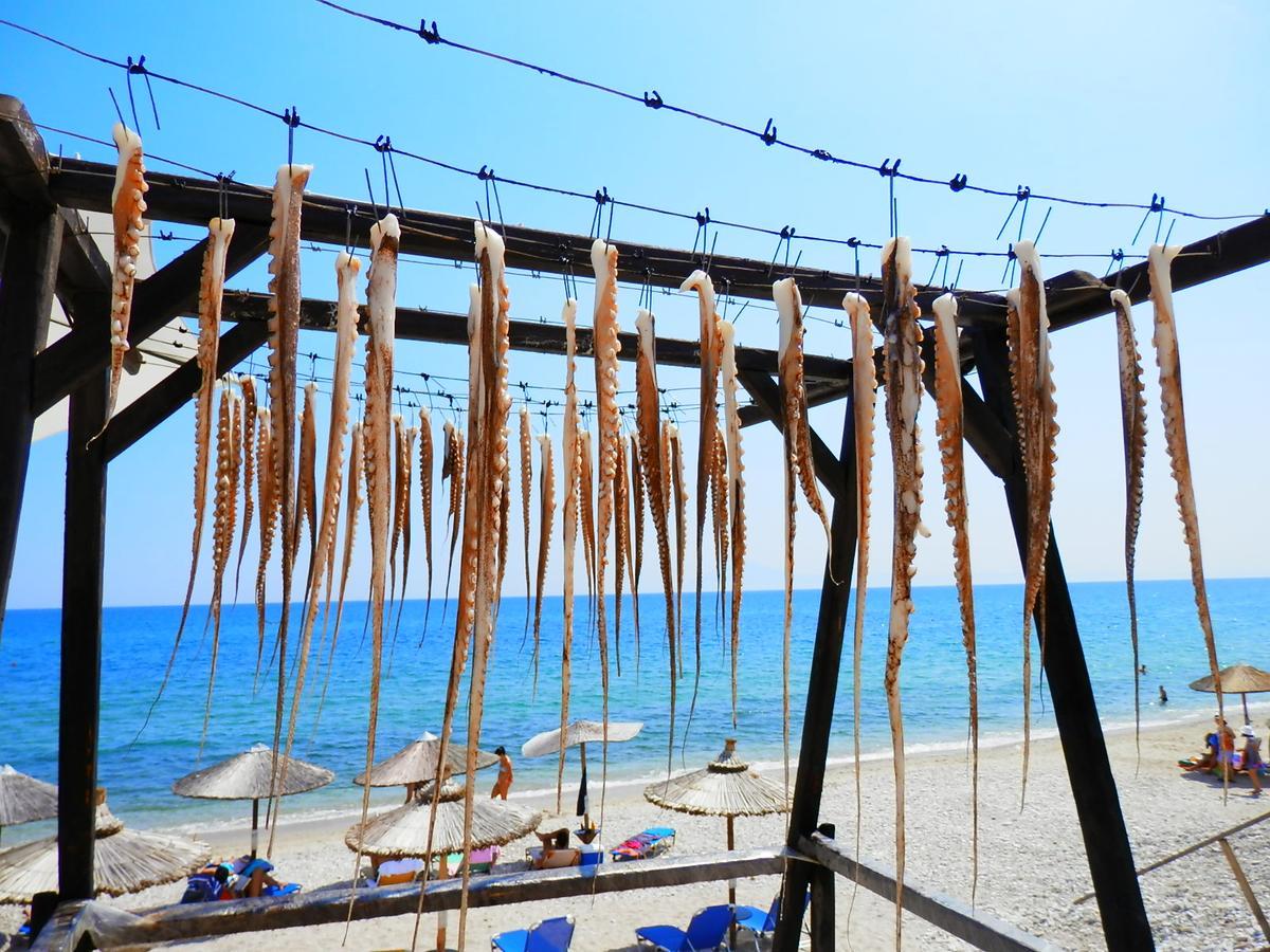 Apartment Christos Limenaria Εξωτερικό φωτογραφία